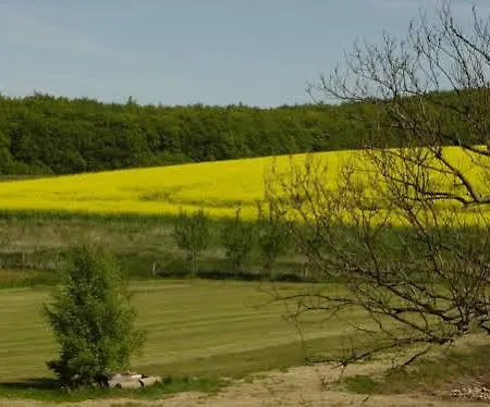 Inselglueck - Restaurant & Cafe