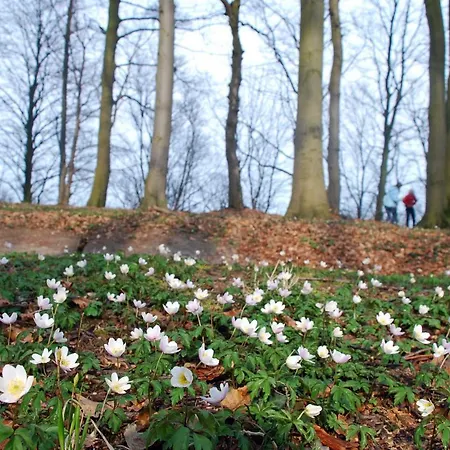 Hotel Inselglueck - Restaurant & Cafe